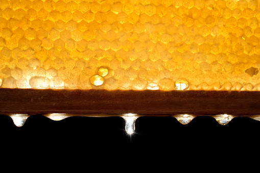 Close up shiny honeycomb full with honey in wooden frame, Close up honeycomb