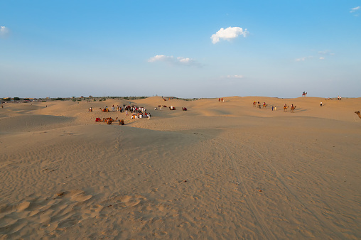 Camels in the desert in Saudi Arabia