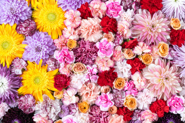 istock Many flowers floating on the water 1418344275