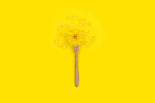 istock Yellow chrysanthemum flowers on fork. Autumn creative background. minimal concept. 1418345618