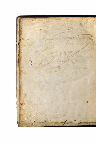 Vertical shot of an old book page.