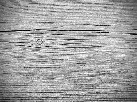 Close-up of wood grain