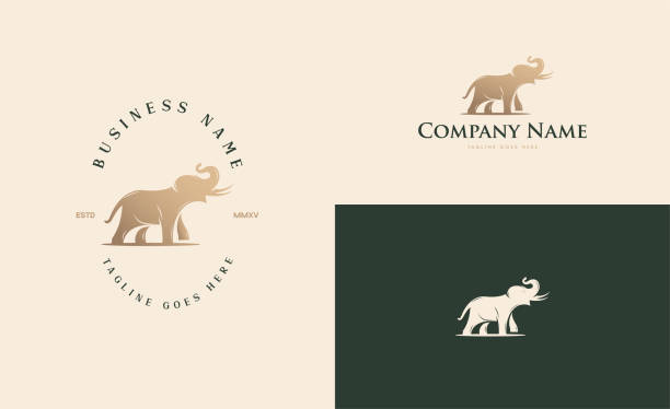 illustrazioni stock, clip art, cartoni animati e icone di tendenza di logo elefante con tre look classici - zanna