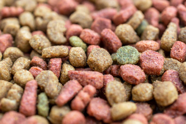 istock Dry cat food as abstract background. 1418352082