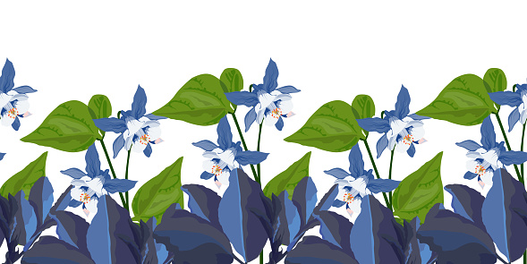 Vector floral seamless pattern, border. Horizontal panoramic design with blue flowers and green leaves on a white background. Floral illustration for decorating surfaces, cards and more.