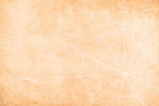 Blank empty Halloween backgrounds with cobweb over beige  tone. Apt for use as spooky backdrops, wallpapers, posters, banners, cards design and templates. There is no text, no people and copy space.