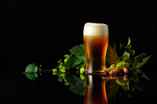 istock Beer, hops, and barley on a black background. 1418357937