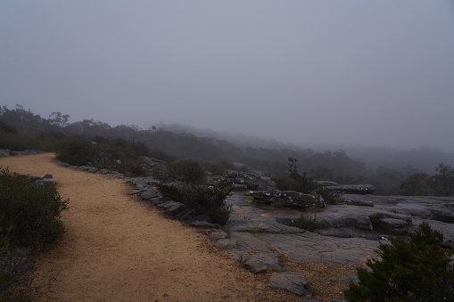 A dirt walking path through the clouds at the Grampians