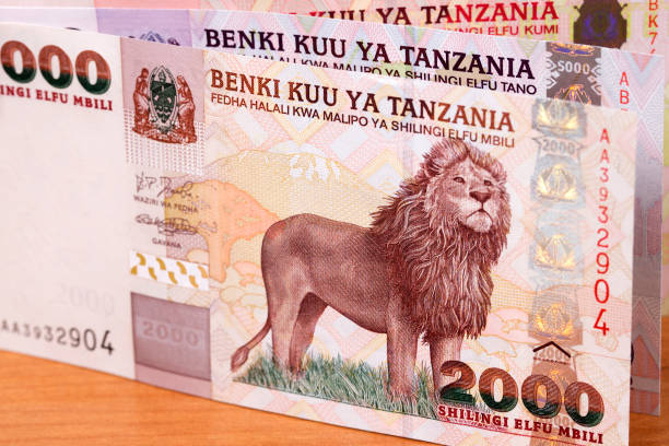 istock Old Tanzanian money a business background 1418379057