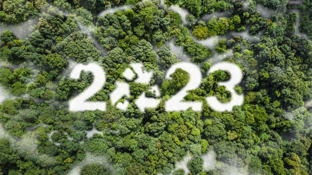 istock Clouds in the numbers 2023 Greenery tree bird's eye view Environment welcome the new year Happy New Year 2023 Start a new life for sustainable growth environmental concept 1418379254