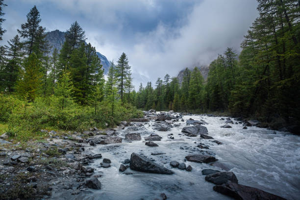 Fragment of a mountain river in cloudy weather