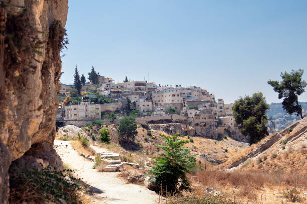 view of the arabian district on the mount of olives from the kedron valley in jerusalem, israel - jerusalem hills imagens e fotografias de stock