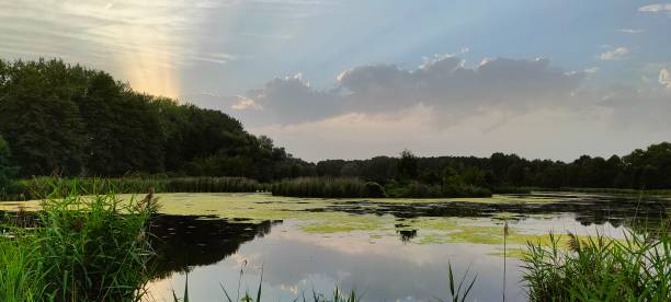 istock Sunset near small lake, sun reflections. 1418391739