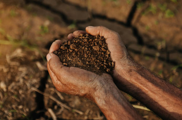 istock Farmer holding soil in hands close-up. 1418391797