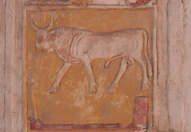 Photo of Relief of Bull with horns on a block in the open-air Museum at Karnak Temple. Luxor . Egypt .