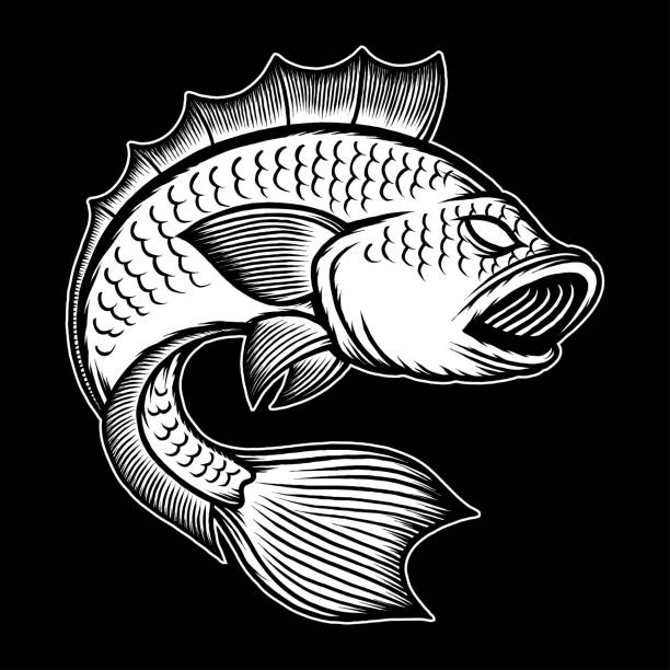 Bass Fish Logo Backgrounds Illustrations, Royalty-Free Vector Graphics ...