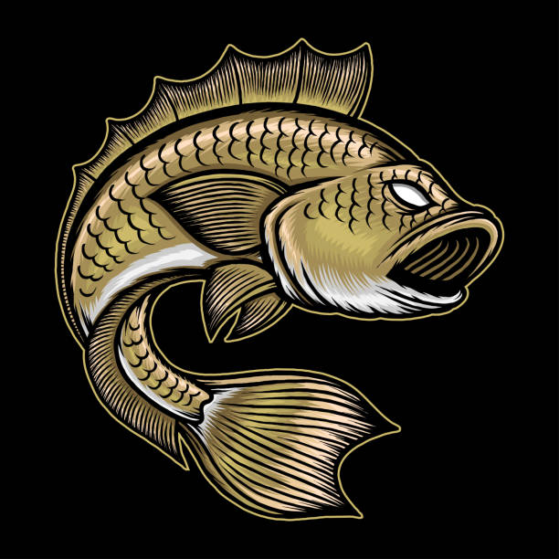 ilustracja dużej ryby basowej - minnow stock illustrations
