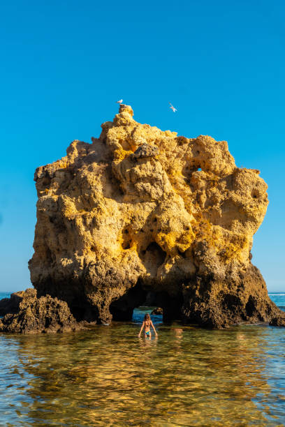 турист в воде рядом со скалами в прайя-дус-аррифес, пляж алгарве, албуфейра. португалия - алгарве стоковые фото и изображения