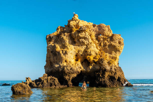 женщина в воде рядом со скалами в прайя-дус-арриш, пляж алгарве, албуфейра. португалия - алгарве стоковые фото и изображения