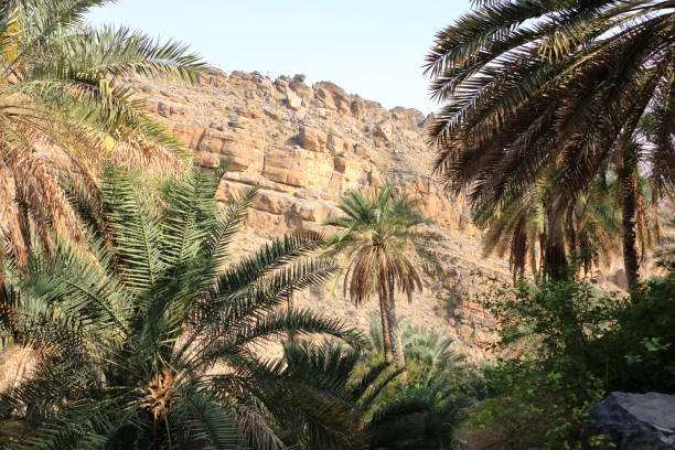 istock Panoramic View from Misfah old House in Misfat al Abriyeen 1418411490