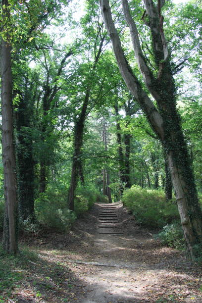 istock At the riverside park in Malchow 1418411762