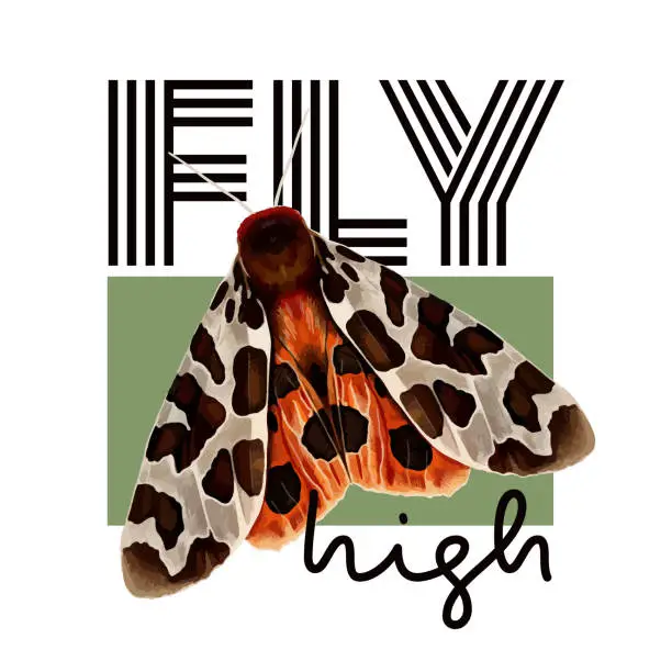 Vector illustration of Fly high. Slogan and design for t shirt with orange tiger butterfly. Vector colorful hand drawn illustration.
