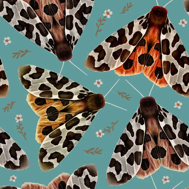 Vector illustration of Vector seamless pattern with the garden tiger moth or Arctia caja. Beautiful butterfly colorful hand drawn illustration.