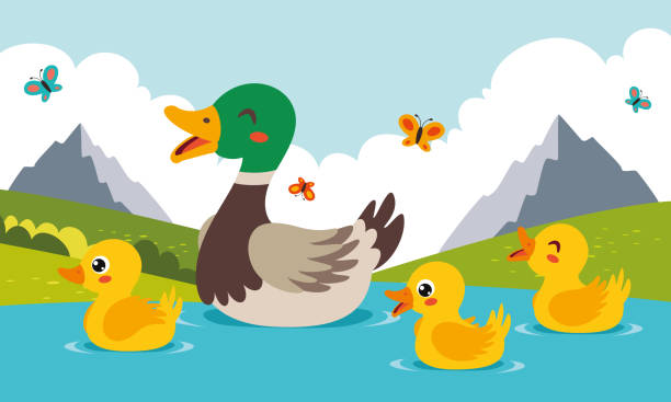 Mother And Baby Ducks Swimming At Lake Mother And Baby Ducks Swimming At Lake duck family stock illustrations