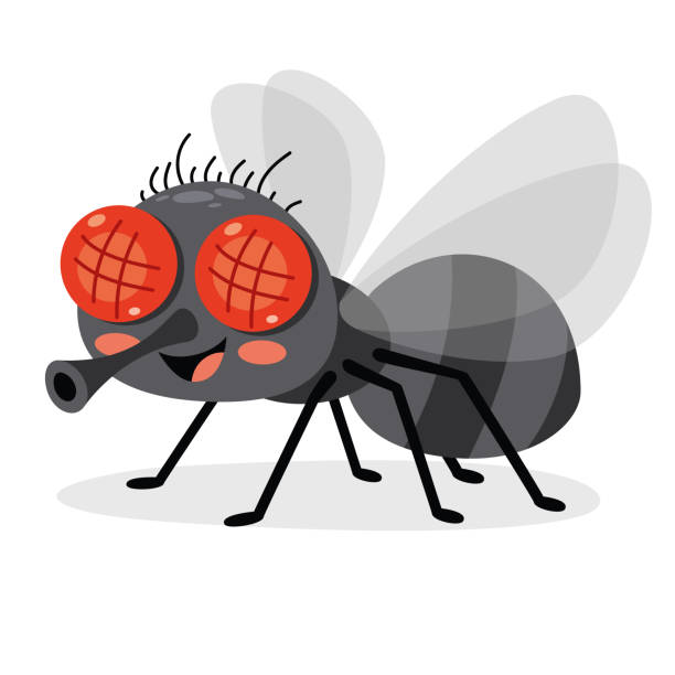 illustrazioni stock, clip art, cartoni animati e icone di tendenza di illustrazione di un insetto volante - fly flying housefly insect