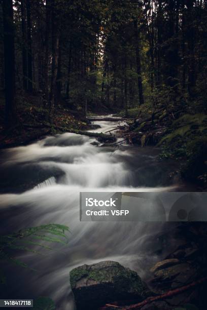 Mystical Atmosphere Of Flowing River And Dark Spruce Forest Horror Scene In Beskydy Mountains Czech Republic Europe Stock Photo - Download Image Now