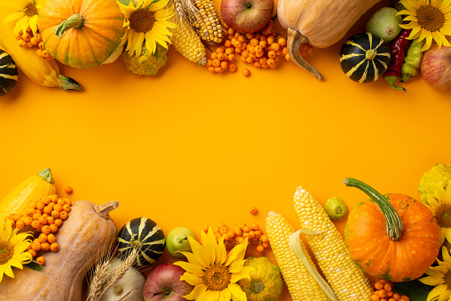 Happy Thanksgiving background with pumpkins, berries, acorns and autumn leaves.