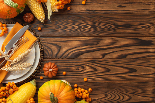 Thanksgiving day concept. Top view photo of plate knife fork napkin wheat raw vegetables pumpkins zucchini maize and rowan on isolated dark wooden table background with copyspace