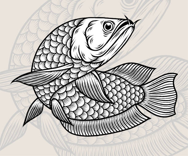 Monochrome Arowana Fish Vector Monochrome Arowana Fish Vector. Premium vector gold arowana stock illustrations