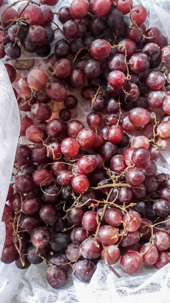 виноград содержит клетчатку - resveratrol wineglass wine bottle wine стоковые фото и изображения