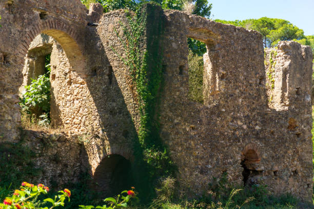 istock Ancient ruins overgrown with plants 1418428636