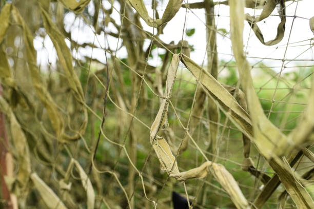 istock Camouflage net. Masking the shelter. 1418435907