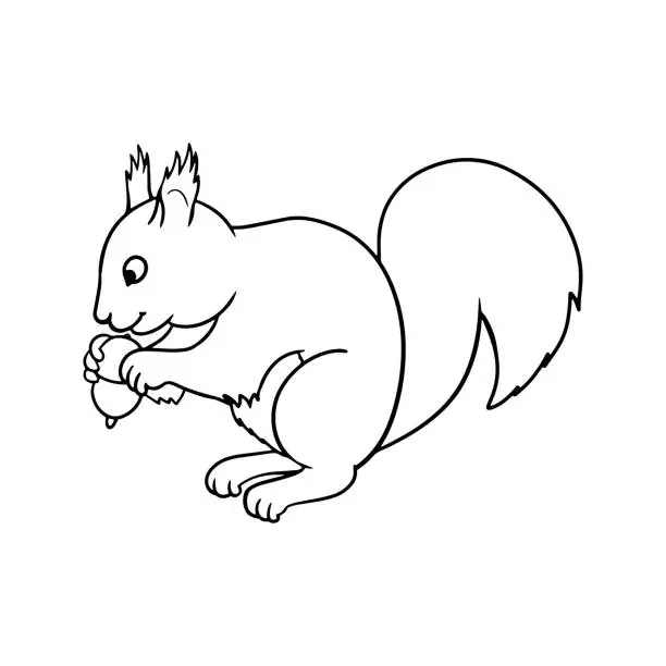 Vector illustration of Monochrome picture, fluffy squirrel sitting and gnawing a nut, vector cartoon