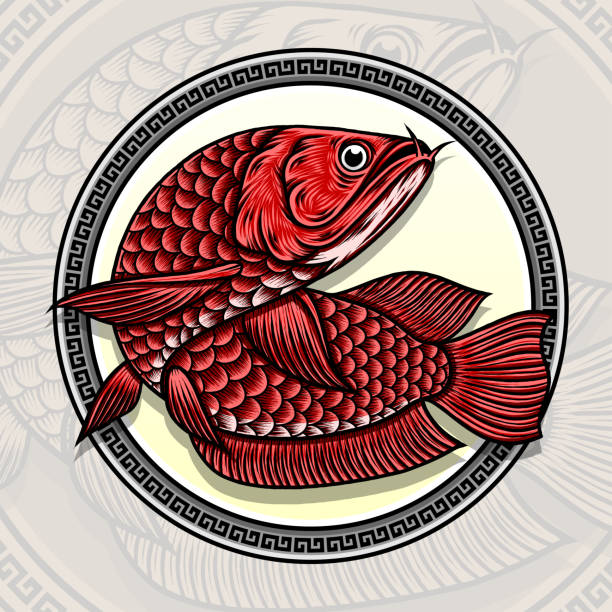 Red Arowana Fish Illustration Red Arowana Fish Illustration. Premium vector golden arowana fish stock illustrations
