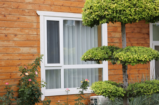 windows of wooden house, Decorated With Fresh Flowers