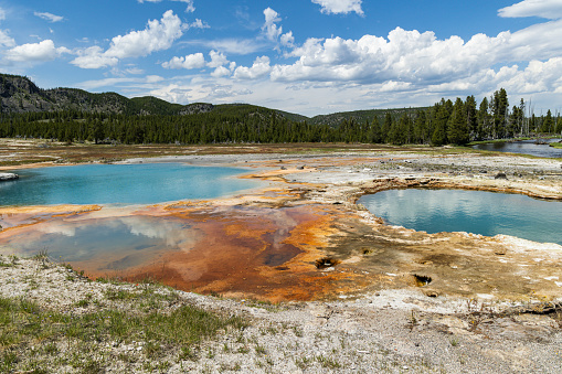 Black Opal Pool next to Black Diamond Pool in Yellowstone's Biscuit Basin, Yellowstone National Park, Wyoming, USA