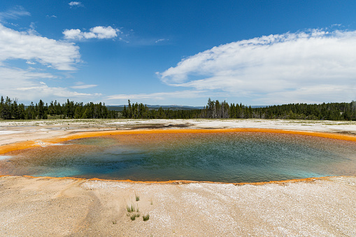 Mammoth Hot Springs, Yellowstone National Park.