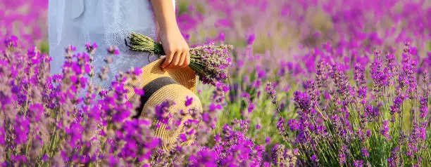 Photo of A child in a lavender field. Selective focus.