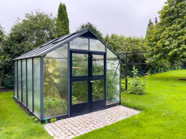 istock in a  large greenhouse thrive many vegetables 1418459941