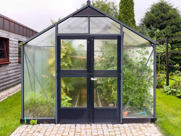 istock in a  large greenhouse thrive many vegetables 1418459951
