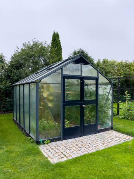istock in a  large greenhouse thrive many vegetables 1418459999