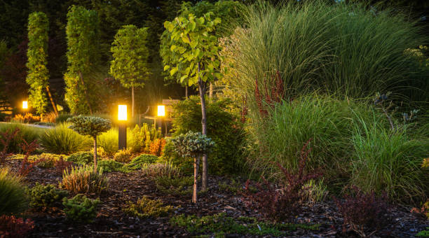 istock Decorative Backyard Garden Illuminated by Garden Lighting 1418463108