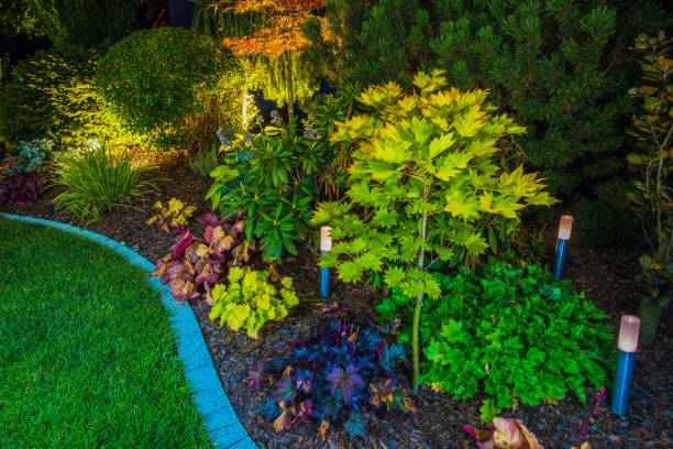 istock Solar Lights in Landscaped Garden 1418464310