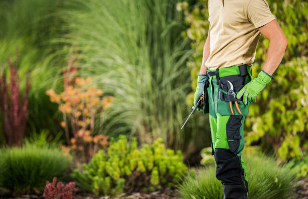 istock Landscaping and Gardening Worker with His Tools Staying Inside Backyard Garden 1418464665