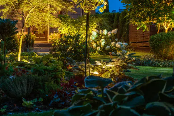 LED Lights Illuminated Small Backyard Garden Night Scenery. Rockery Plants, Decorative Trees and Flowers.