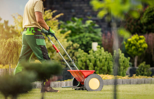 jardinero con esparcidor de empuje fertilizando césped de césped residencial - fertilizante fotografías e imágenes de stock